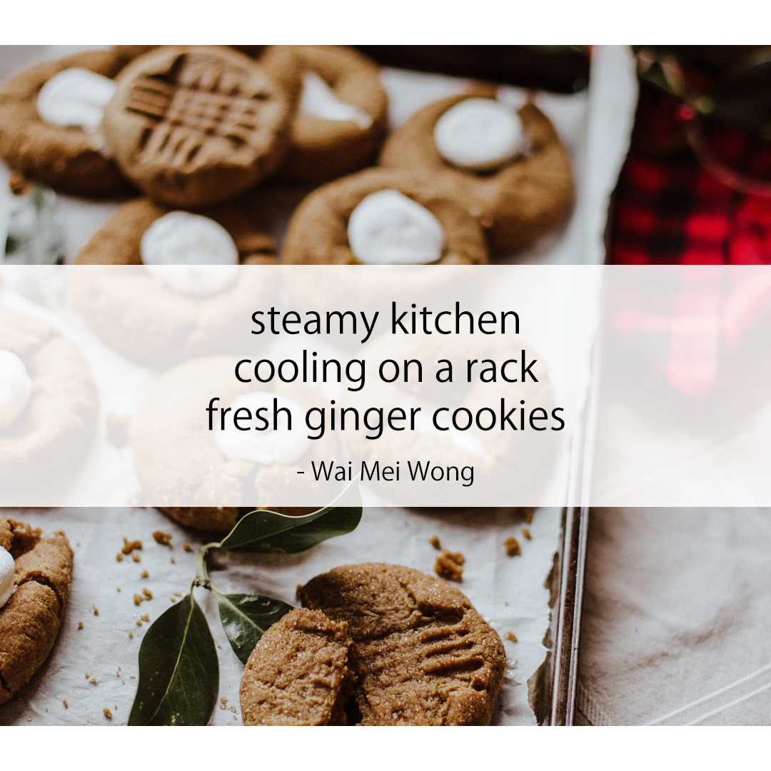 steamy kitchen / cooling on a rack / fresh ginger cookies
