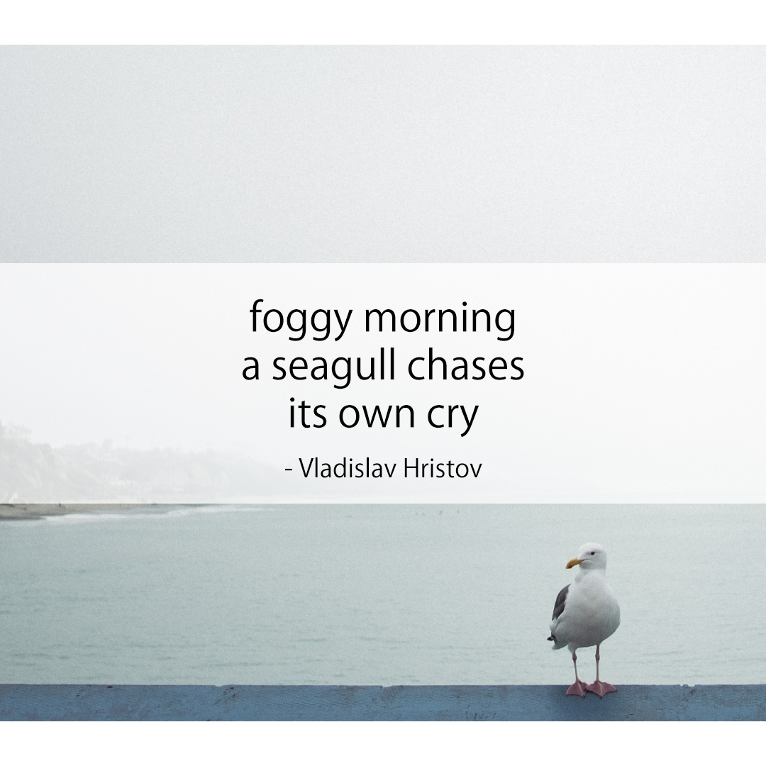 foggy morning / a seagull chases / its own cry
