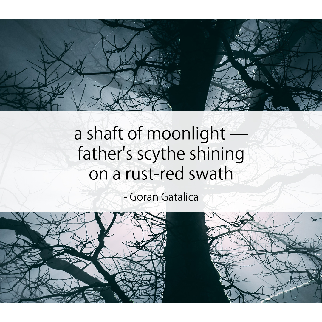 a shaft of moonlight — / father's scythe shining / on a rust-red swath