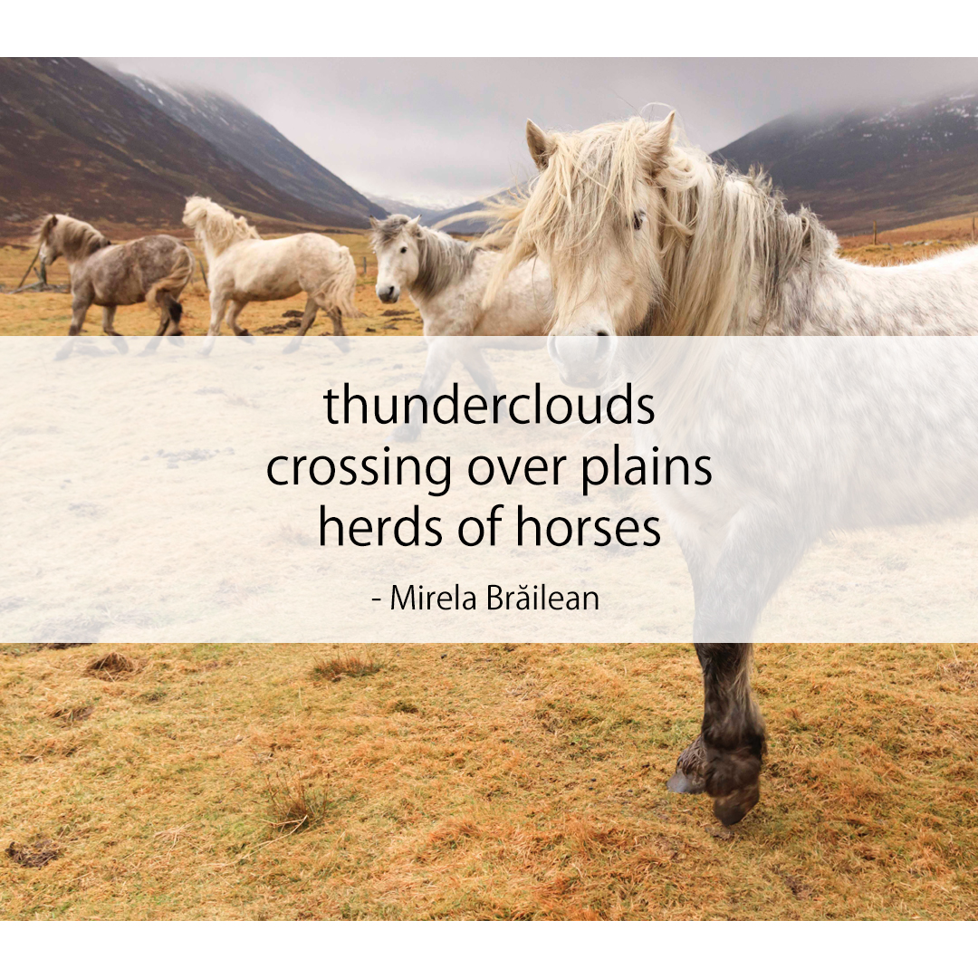 thunderclouds / crossing over plains / herds of horses