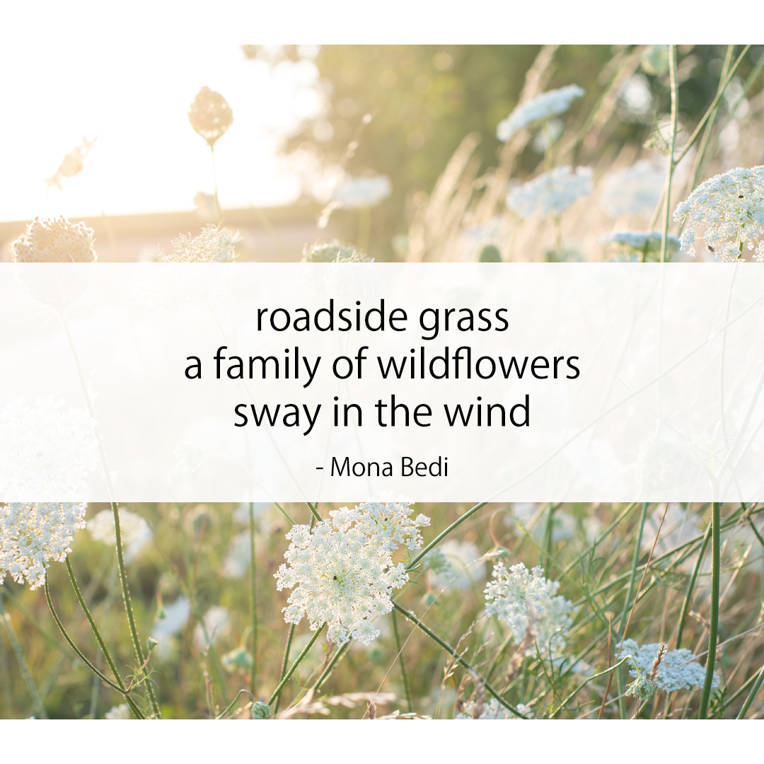 roadside grass / a family of wildflowers / sway in the wind