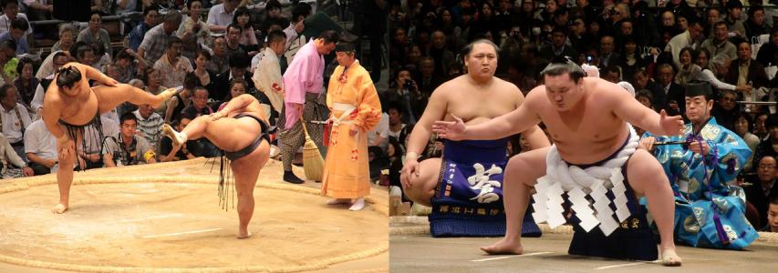 The Grand Sumo Tournament: Two Tickets Giveaway for New Members - Join Now!