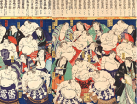 Sumo