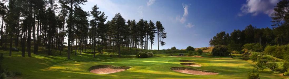 The Japan Society Golf Tournament 2025 - Photos
