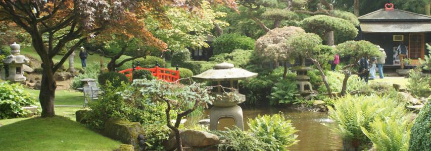 An invitation from The Japanese Garden Society