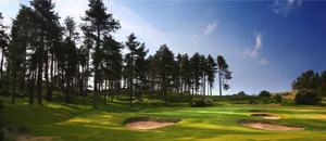 The Japan Society Golf Tournament 2025 - Photos