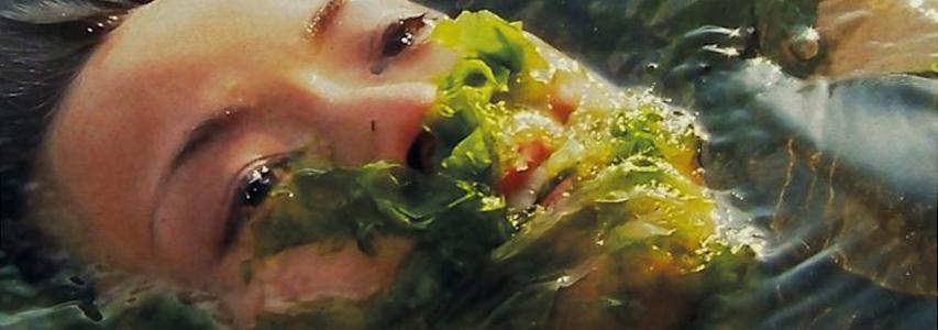 Exploring Visual Counterculture in Japan - with Marco Bohr
