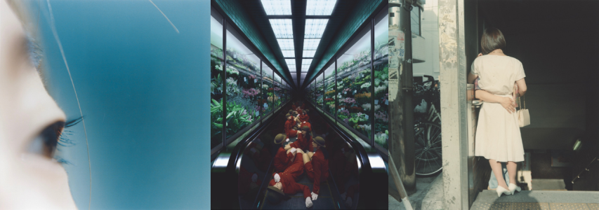 Japanese Women Photographers: From 1950s to Now - Guided Tour