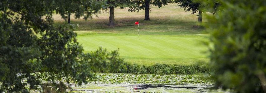 Collar Cup Golf Match 2023
