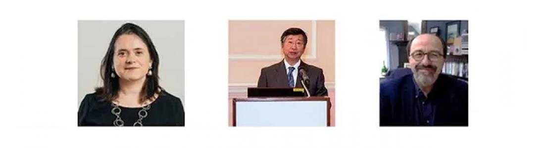 Webinar Video - The Politics of Governmental Reform in Japan and the UK