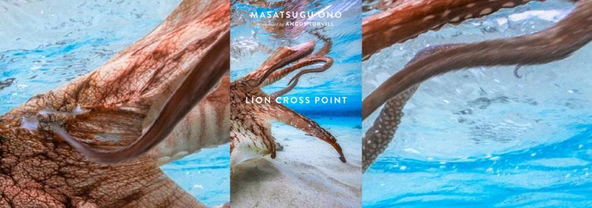 IN-PERSON EVENT - Japan Society Book Club: Lion Cross Point by Masatsugu Ono