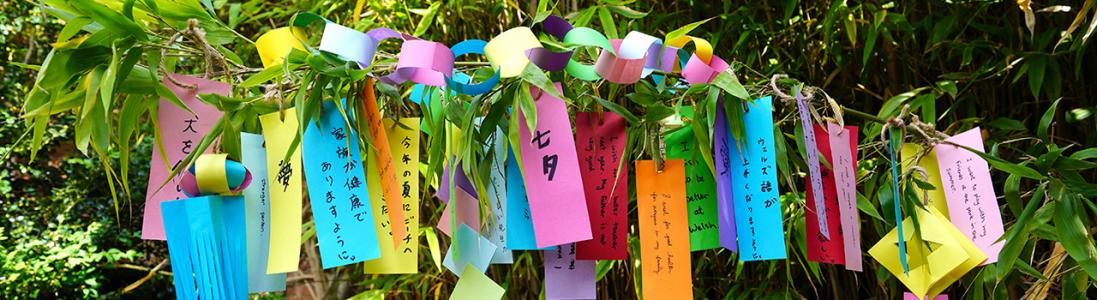 Tanzaku: Write your Wish for Tanabata Star Festival