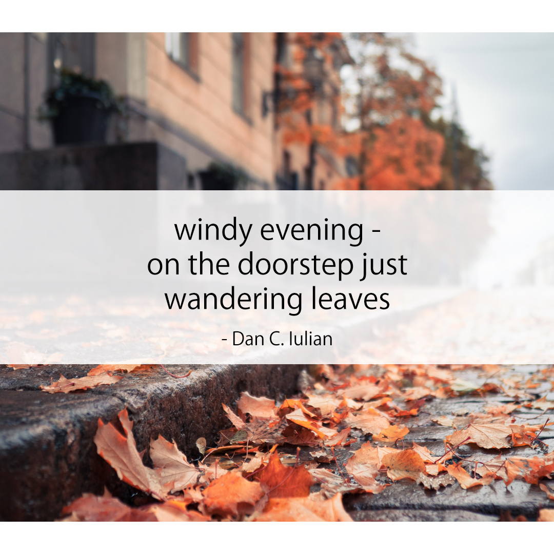 windy evening - / on the doorstep just / wandering leaves