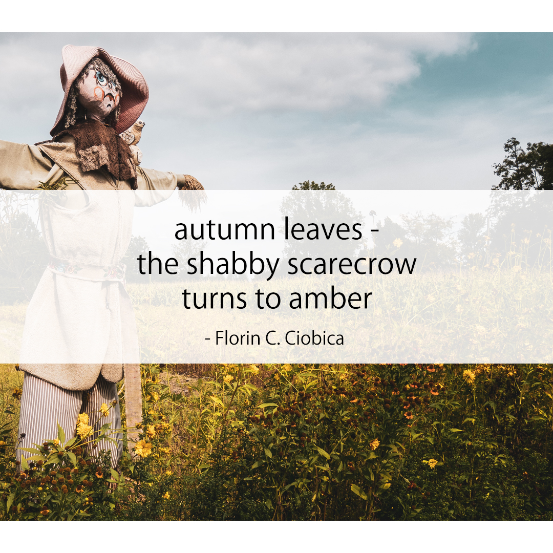 autumn leaves - / the shabby scarecrow / turns to amber