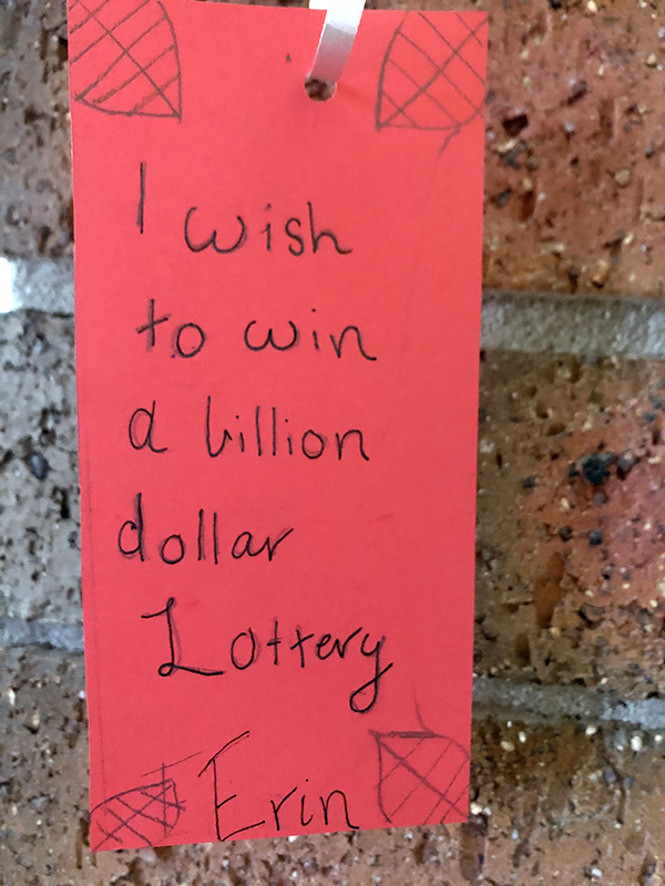 I wish to win a billion dollar lottery - Erinar