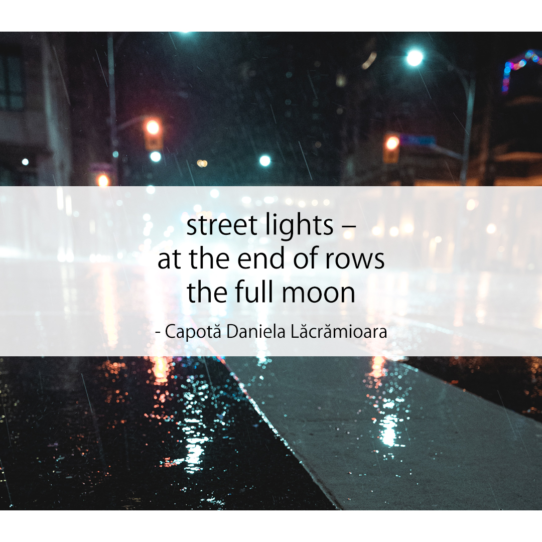 street lights – / at the end of rows / the full moon