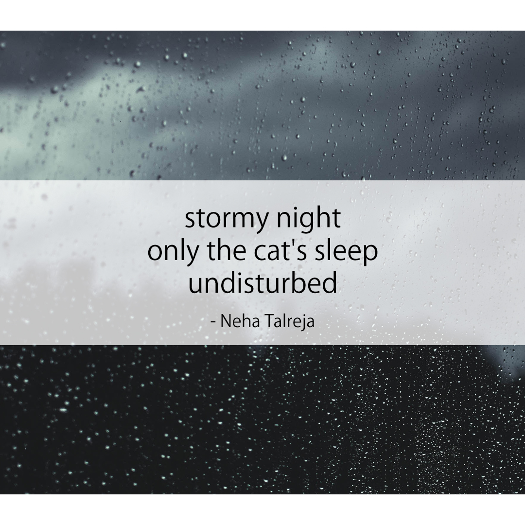 stormy night / only the cat's sleep / undisturbed
