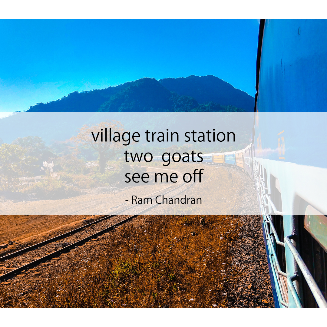 village train station / two  goats / see me off