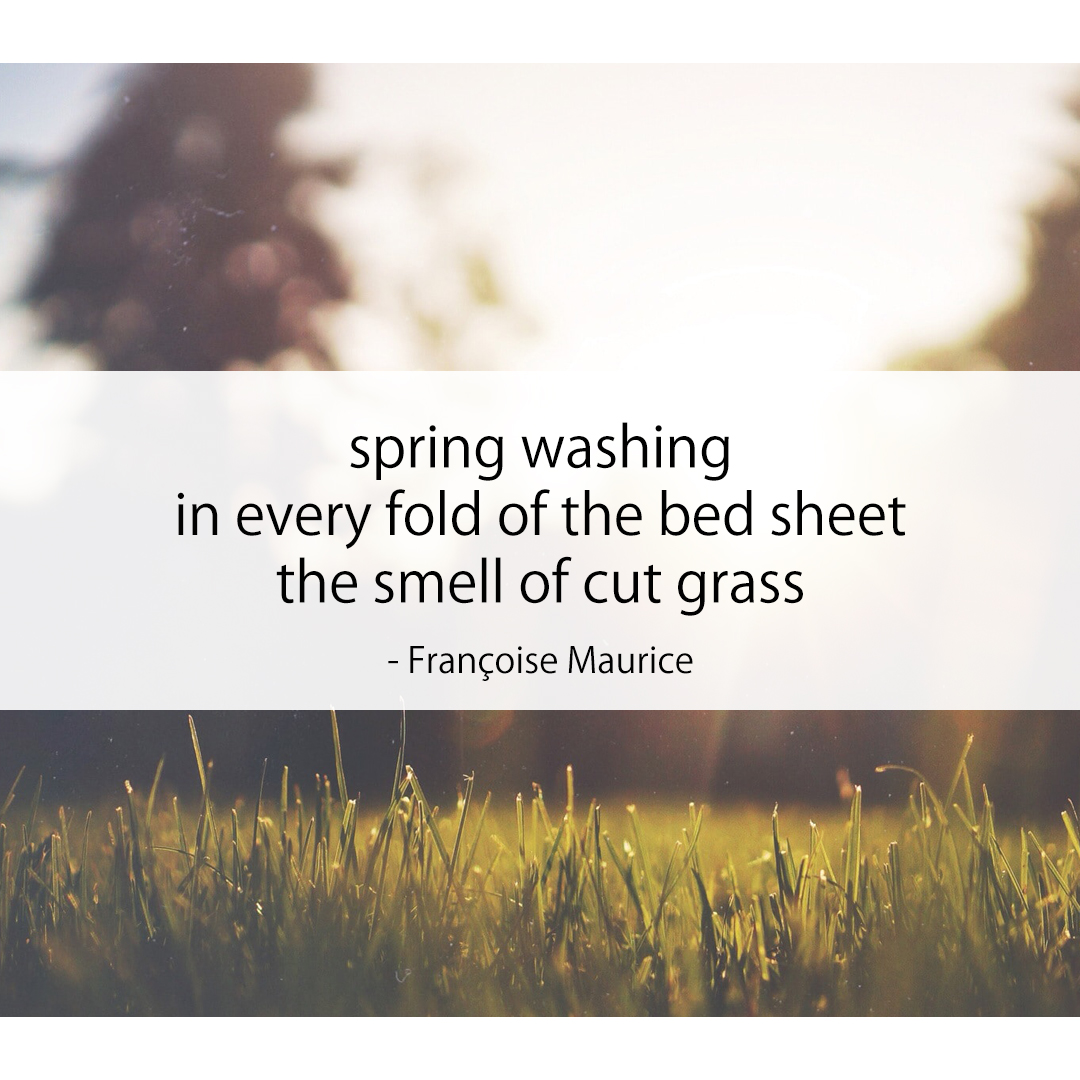 spring washing / in every fold of the bed sheet / the smell of cut grass