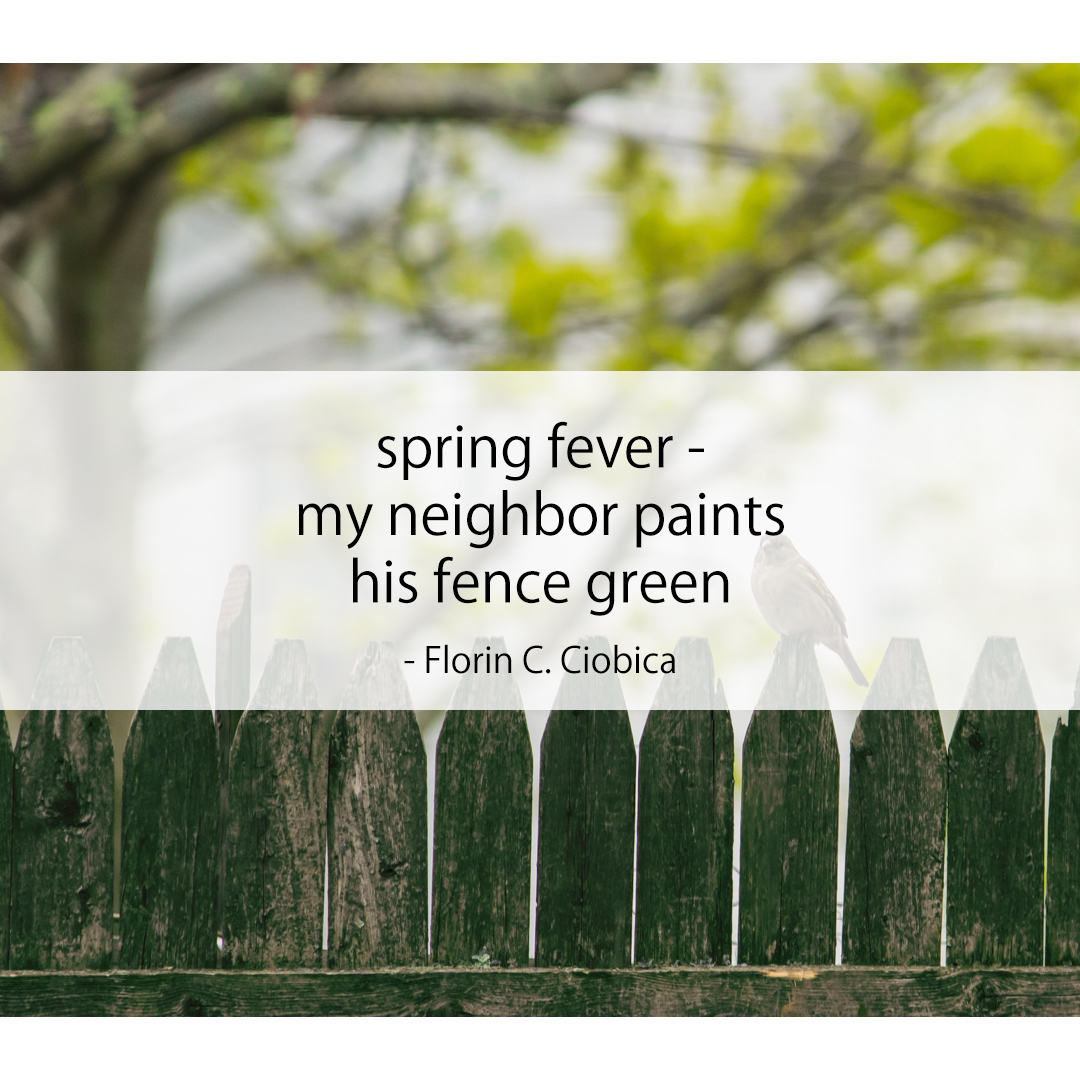 spring fever - / my neighbor paints / his fence green