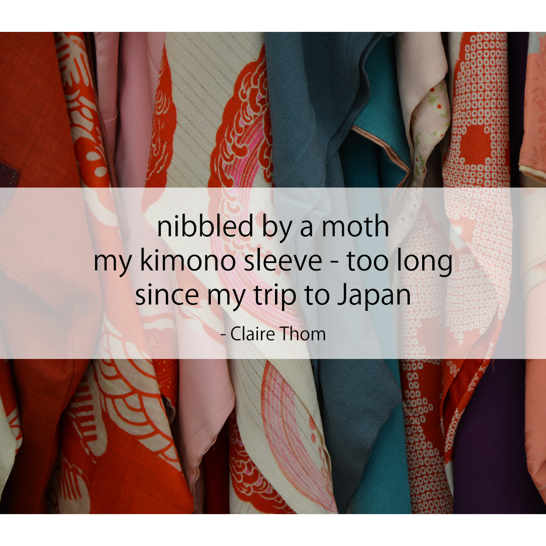 nibble by a moth / my kimono sleeve - too long / since my trip to Japan