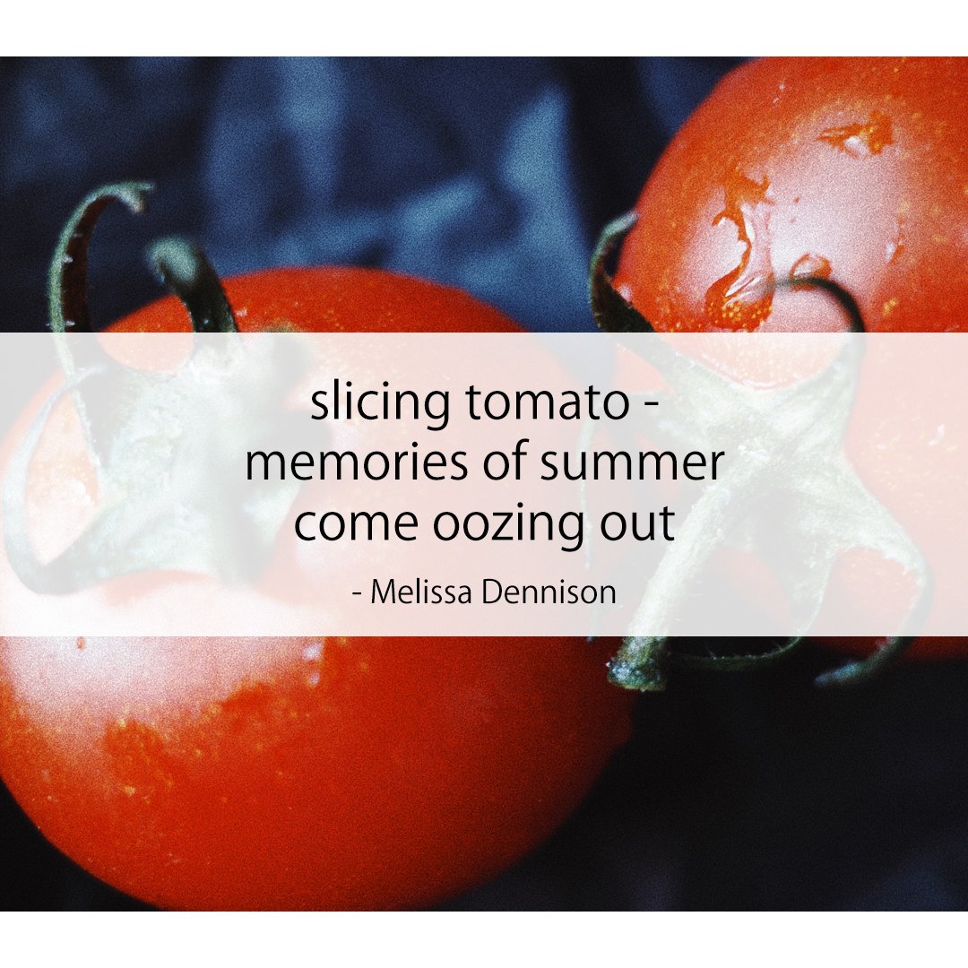 slicing tomato - / memories of summer / come oozing out
