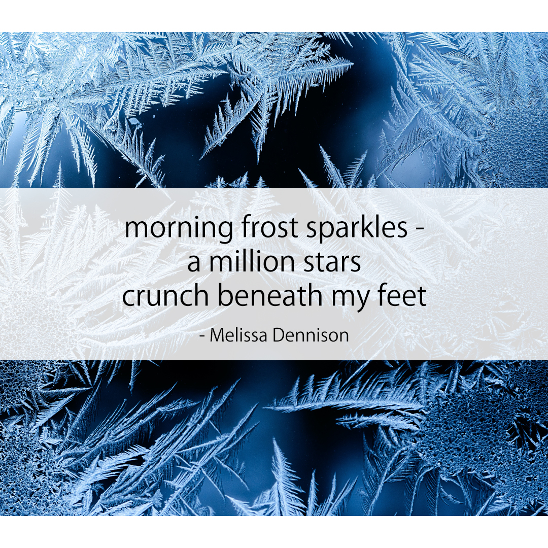 morning frost sparkles - / a million stars / crunch beneath my feet