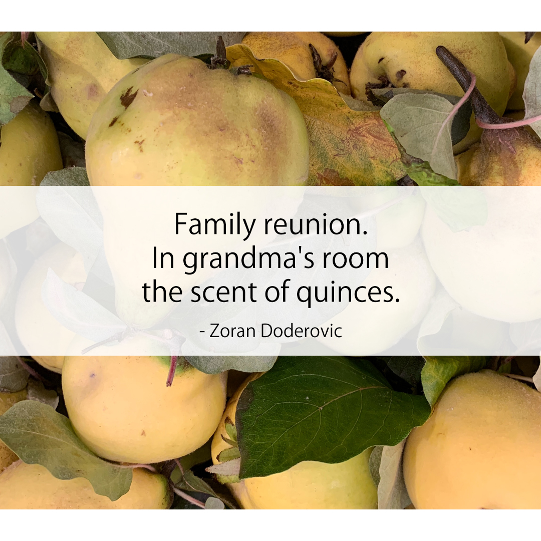 Family reunion. / In grandma's room / the scent of quinces.