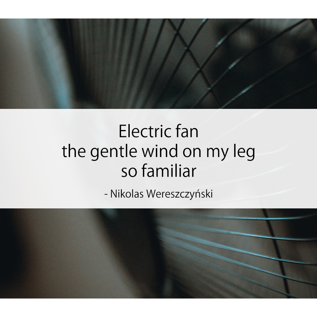 Electric fan / the gentle wind on my leg / so familiar