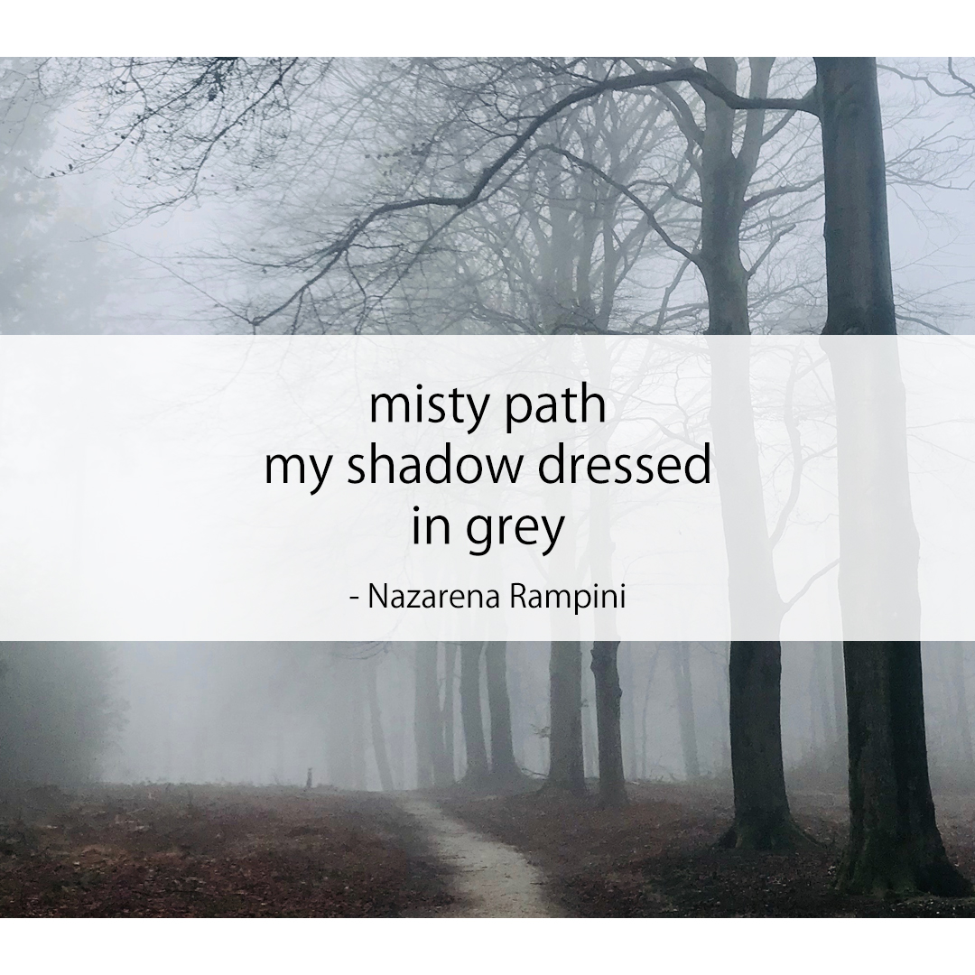 misty path / my shadow / dressed in grey