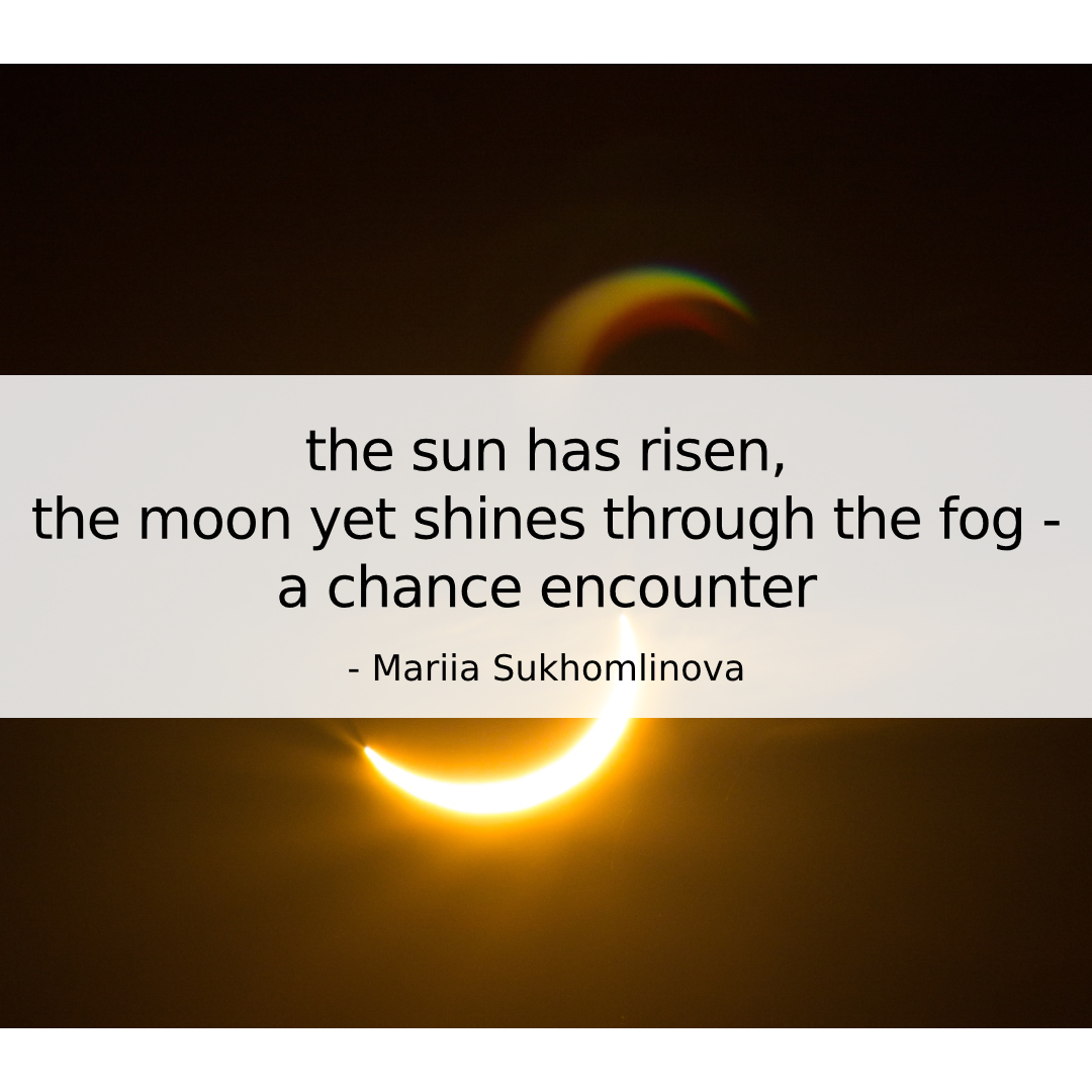 the sun has risen, / the moon yet shines through the fog -  / a chance encounter