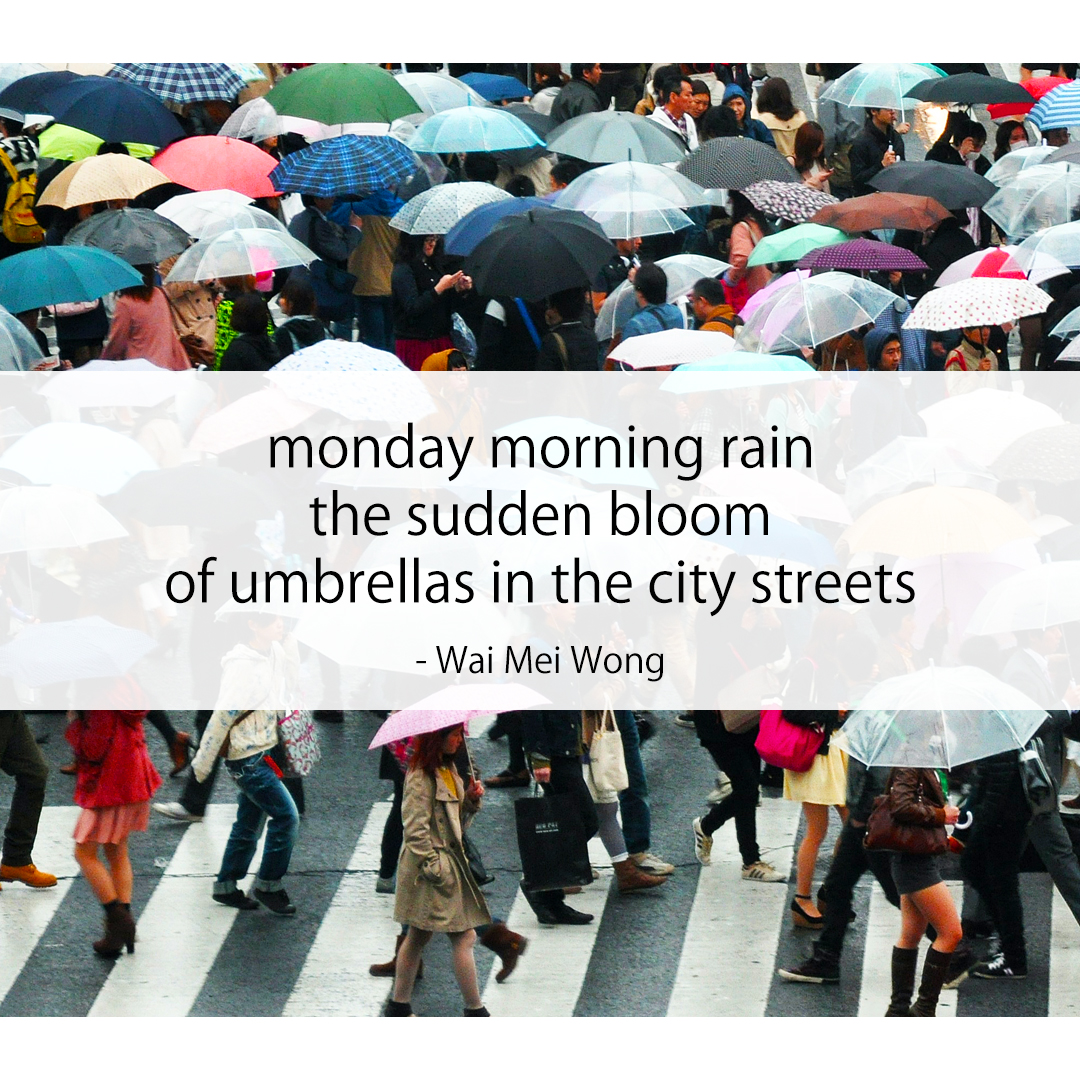 monday morning rain / the sudden bloom / of umbrellas in the city streets